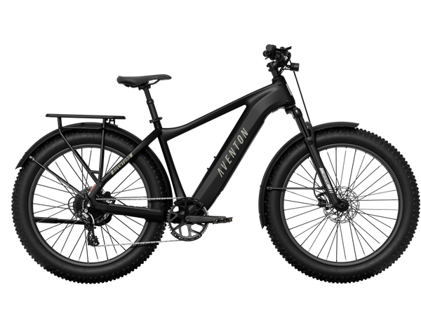 Aventon Aventure 3 Step Over