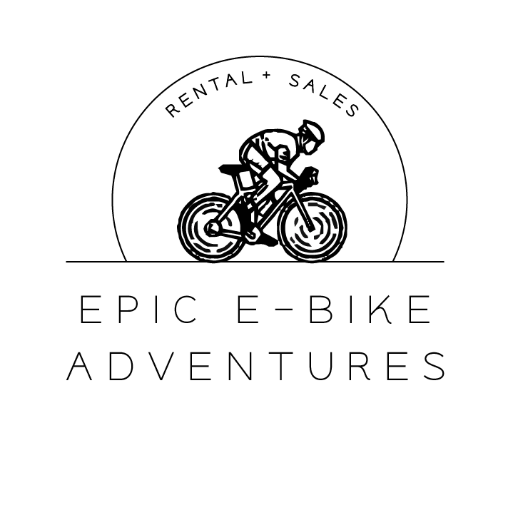 Epic E-Bike Adventures-Fremont St