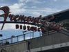 The Las Vegas Strip & Welcome Sign Guided Electric Bike Tour Epic EBike Adventures