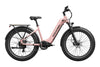 Mokwheel Basalt ST 2.0 Ebike