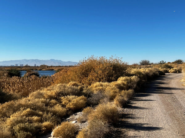 Wetlands to Lake Las Vegas Guided Electric Bike Tour Epic EBike Adventures