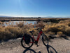 Wetlands to Lake Las Vegas Guided Electric Bike Tour Epic EBike Adventures