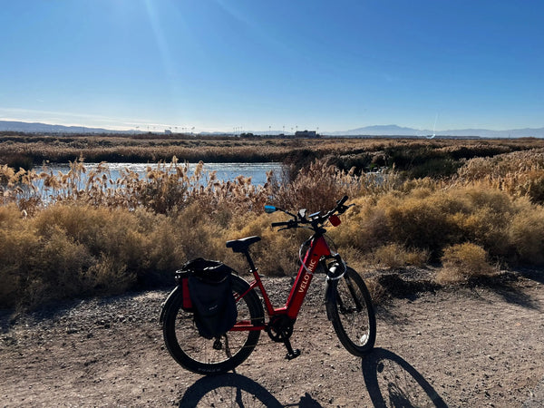 Wetlands to Lake Las Vegas Guided Electric Bike Tour Epic EBike Adventures