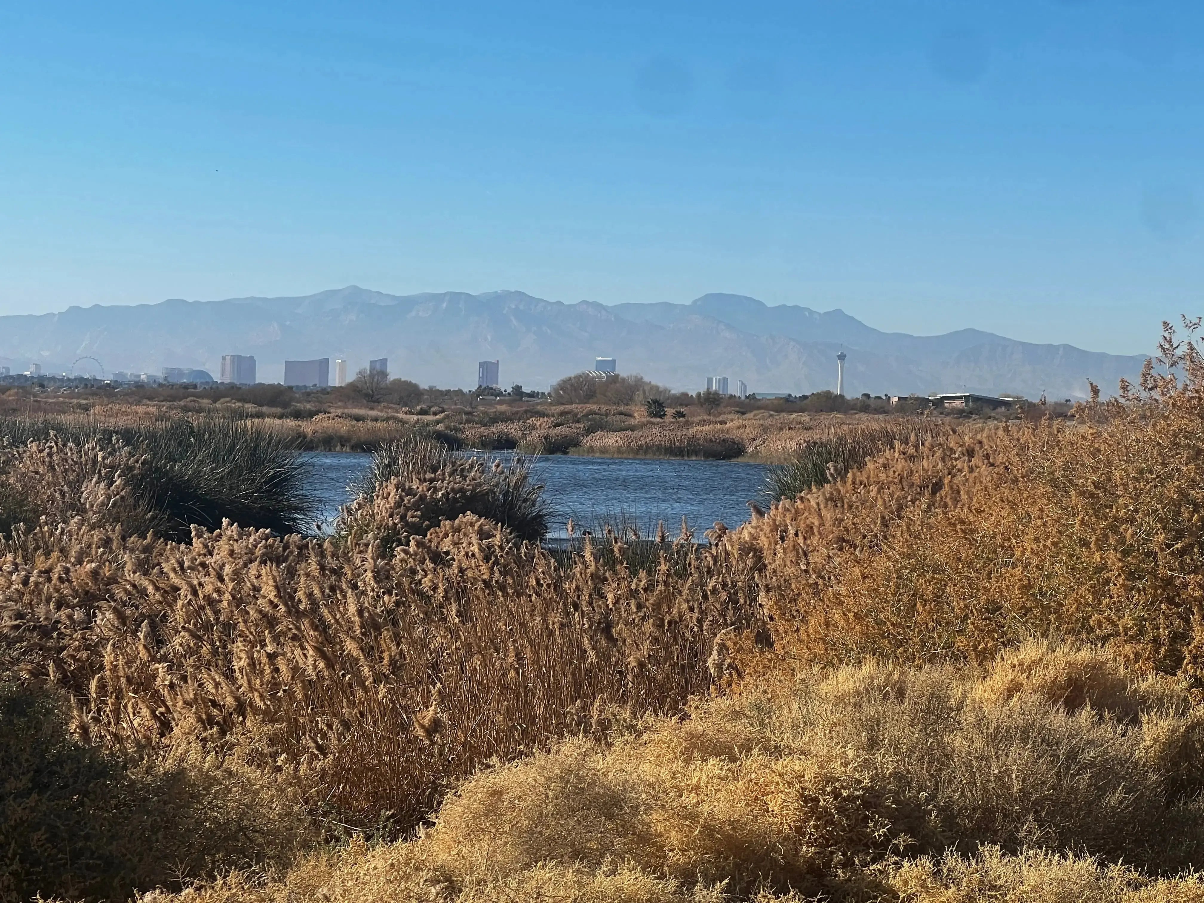 Wetlands to Lake Las Vegas Guided Electric Bike Tour Epic EBike Adventures