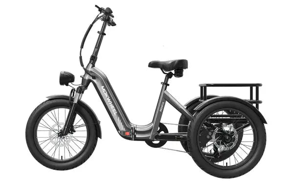 Mokwheel Granite Electric Tricycle Epic EBike Adventures