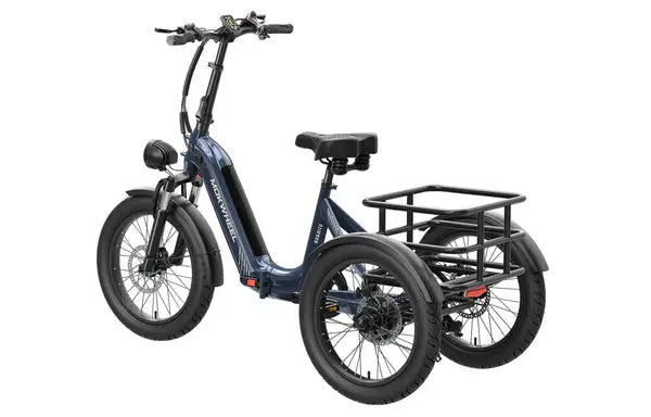 Mokwheel Granite Electric Tricycle Epic EBike Adventures