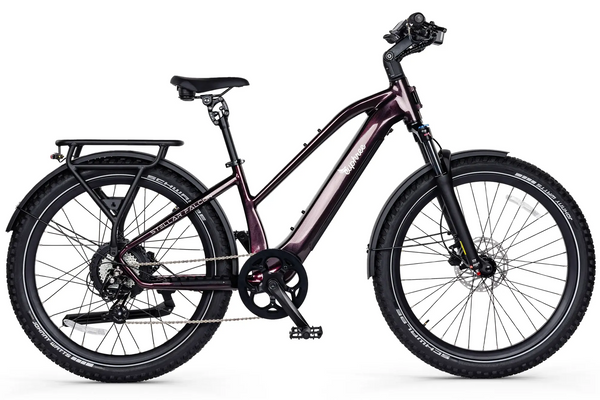 Stellar Falcon Mid-Step Epic EBike Adventures