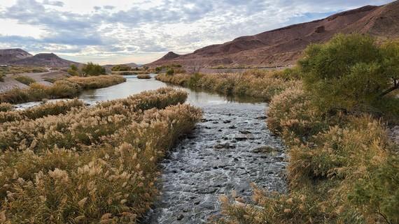 Wetlands & Lake Las Vegas Adventure: 15+ Miles, 4 Hours, Easy & Scenic