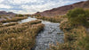 Wetlands & Lake Las Vegas Adventure: 15+ Miles, 4 Hours, Easy & Scenic