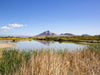 Wetlands & Lake Las Vegas Adventure: 15+ Miles, 4 Hours, Easy & Scenic
