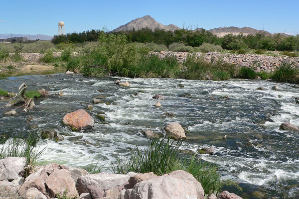 Wetlands & Lake Las Vegas Adventure: 15+ Miles, 4 Hours, Easy & Scenic