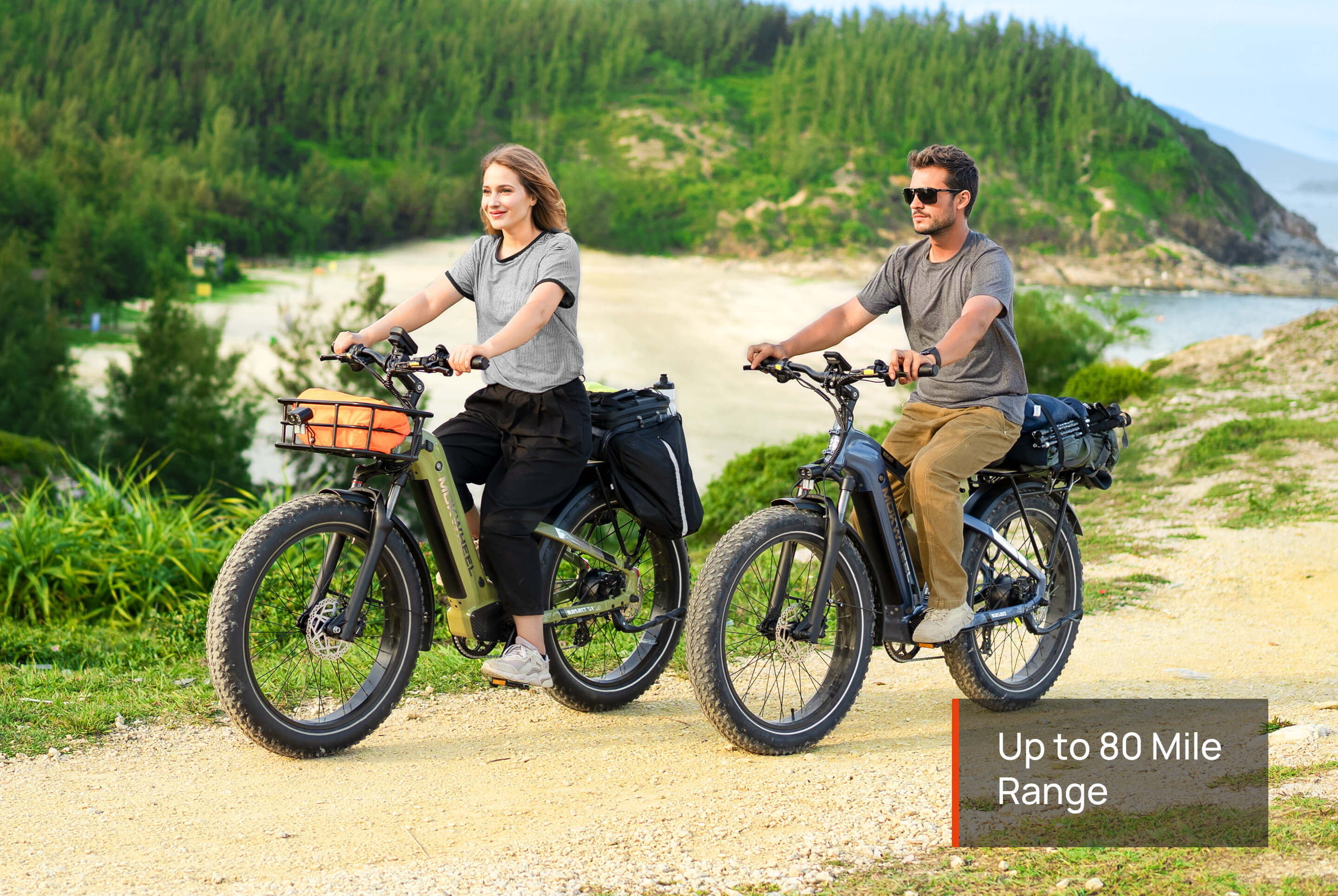 Mokwheel Basalt Step Over 2.0 Ebike